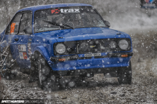 Limerick_Forest_Cian_Donnellan&nbsp;(9)