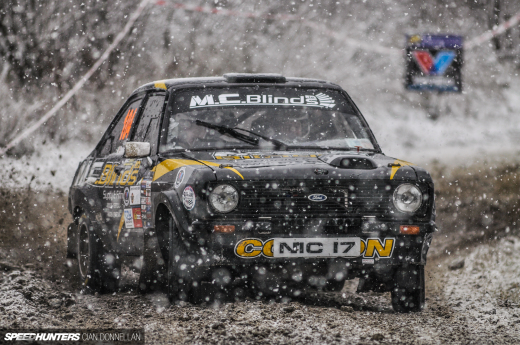 Limerick_Forest_Cian_Donnellan&nbsp;(10)