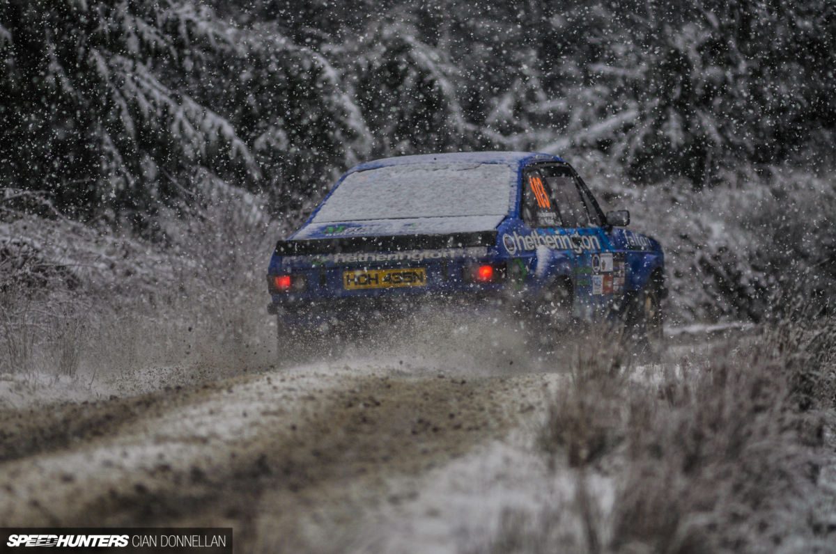 Limerick_Forest_Cian_Donnellan (12)