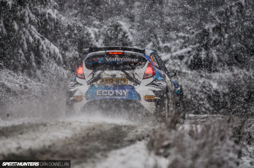 Limerick_Forest_Cian_Donnellan&nbsp;(13)