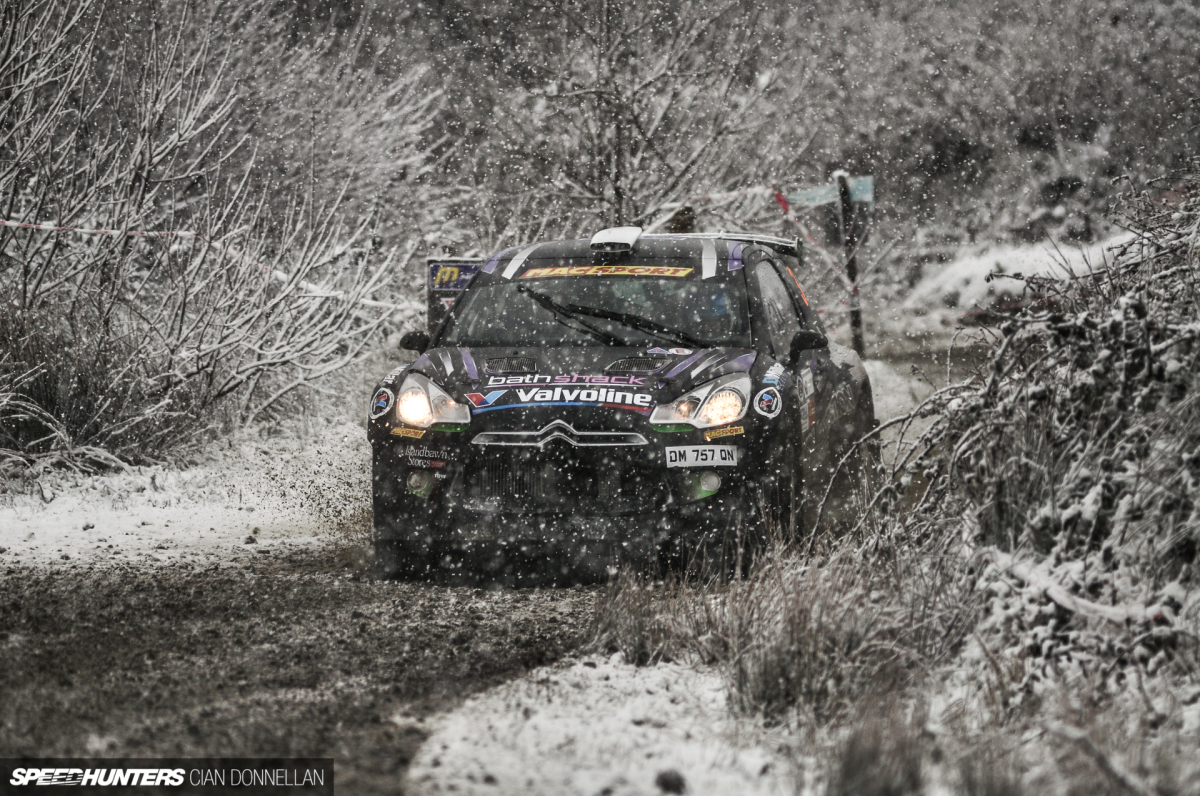 Limerick_Forest_Cian_Donnellan (14)