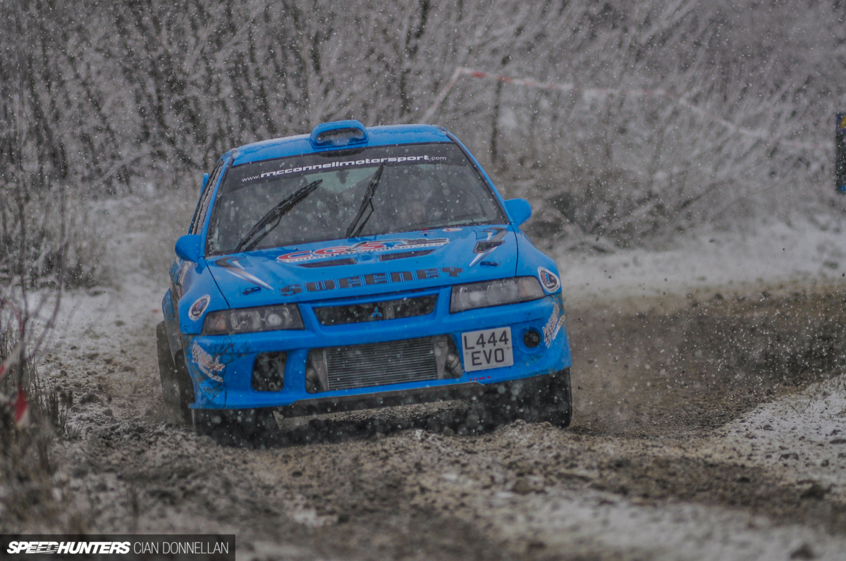 Limerick_Forest_Cian_Donnellan (18)