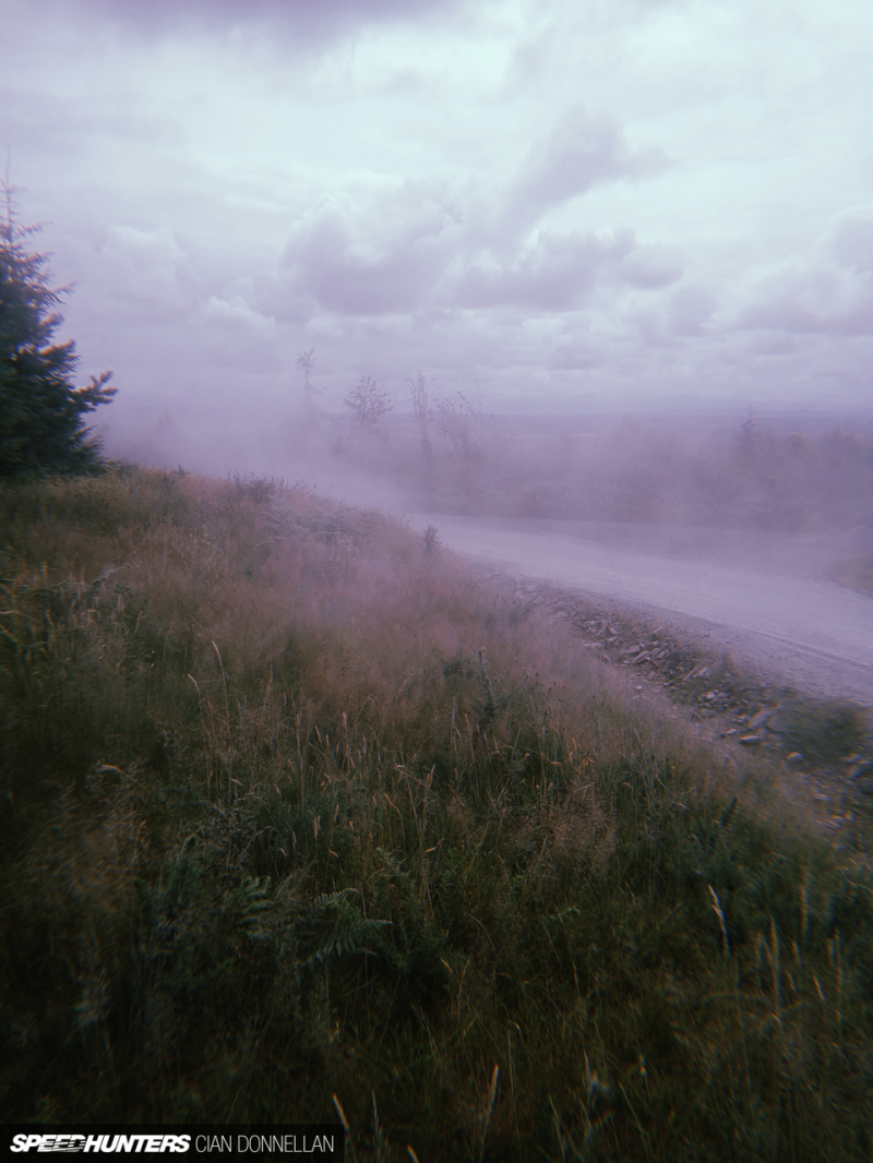 Irish_Forests_Cian_Donnellan&nbsp;(7)