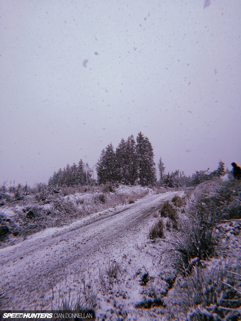 Irish_Forests_Cian_Donnellan&nbsp;(2)