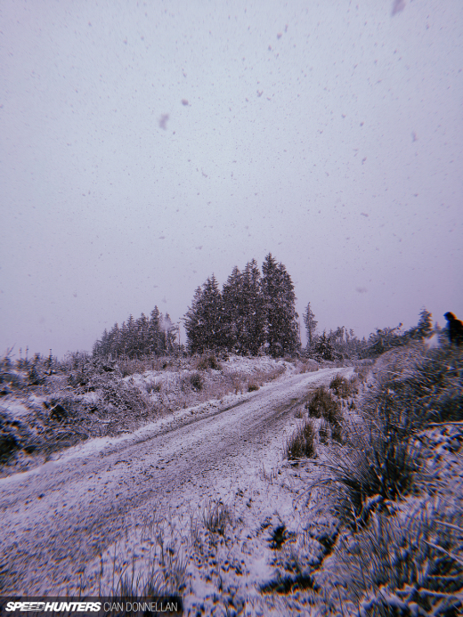 Irish_Forests_Cian_Donnellan&nbsp;(3)