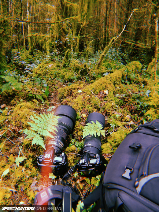 Irish_Forests_Cian_Donnellan&nbsp;(5)