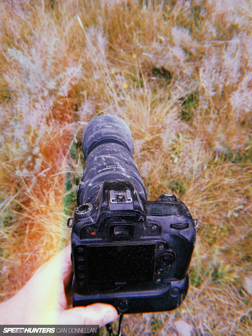 Irish_Forests_Cian_Donnellan&nbsp;(6)