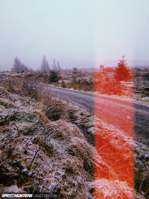 Irish_Forests_Cian_Donnellan