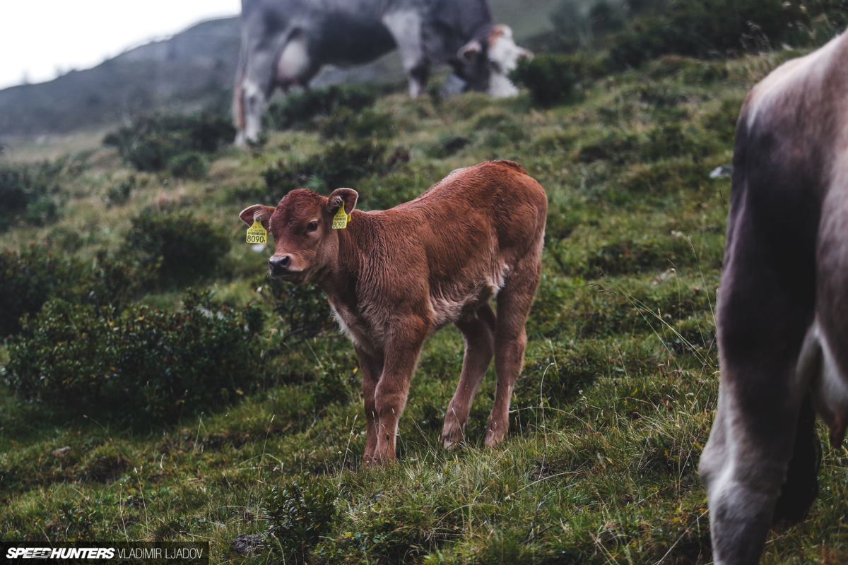 stelvio-pass-by-wheelsbywovka-49