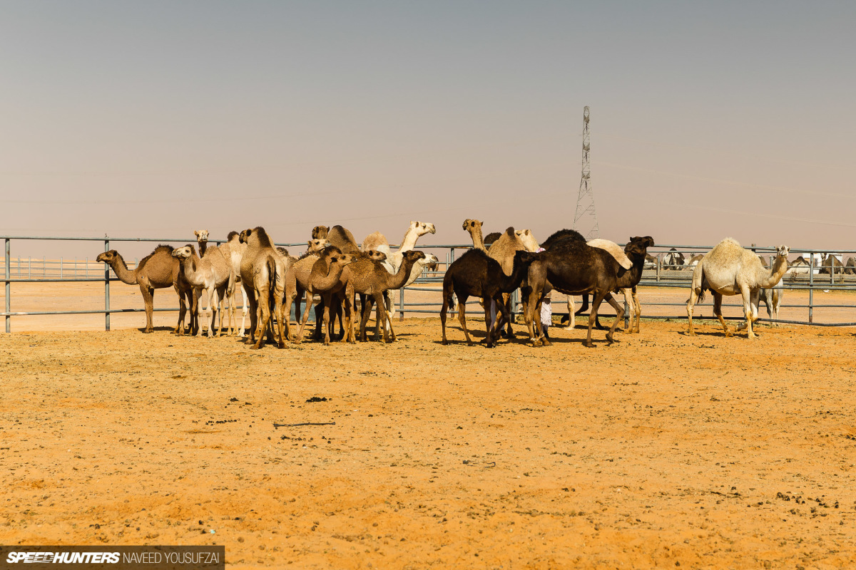 IMG_1333RiyadhAutoSalonCoverage-By-Naveed-Yousufzai