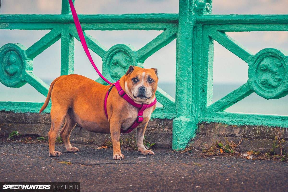 Speedhunters_BrightonSpeedTrials-24