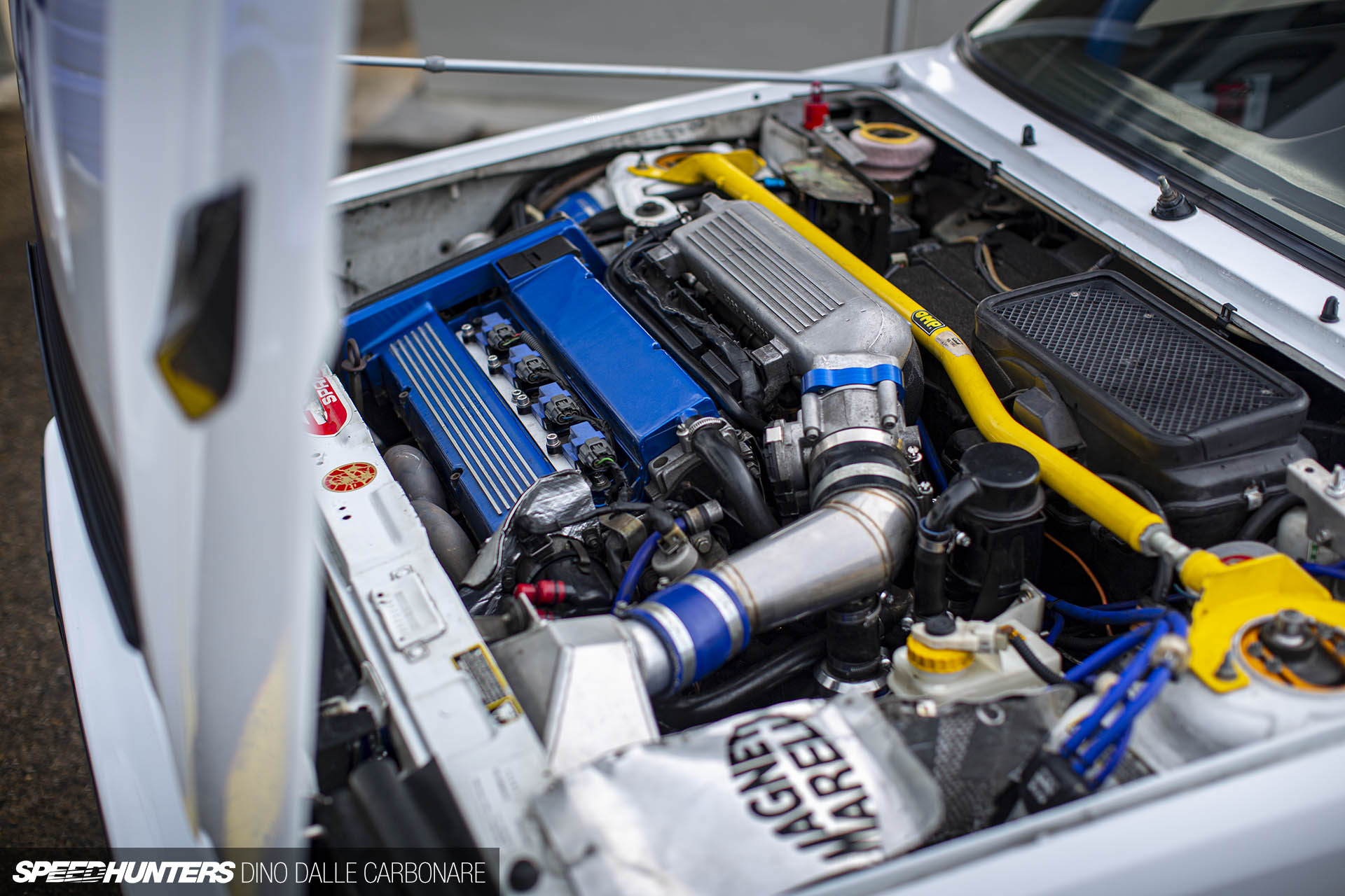 attack_20_dino_dalle_carbonare_113