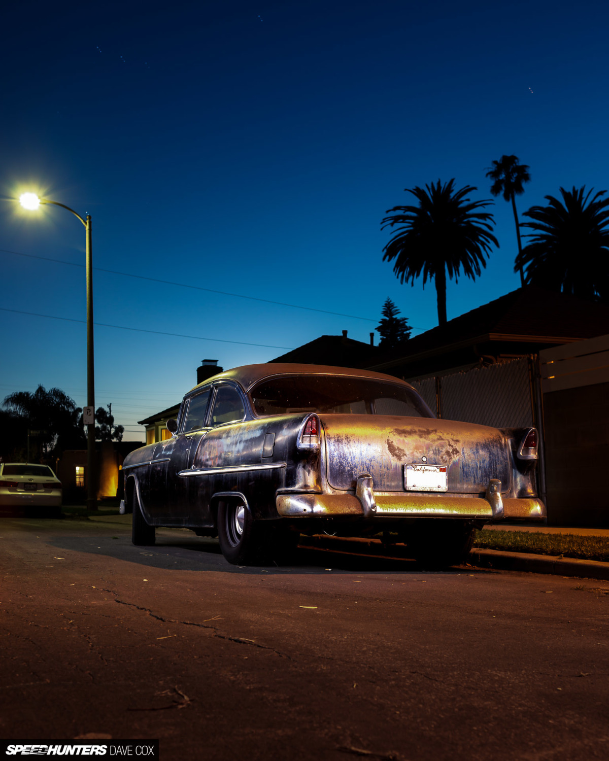 CARONAVIRUS Â©DAVE COX_004