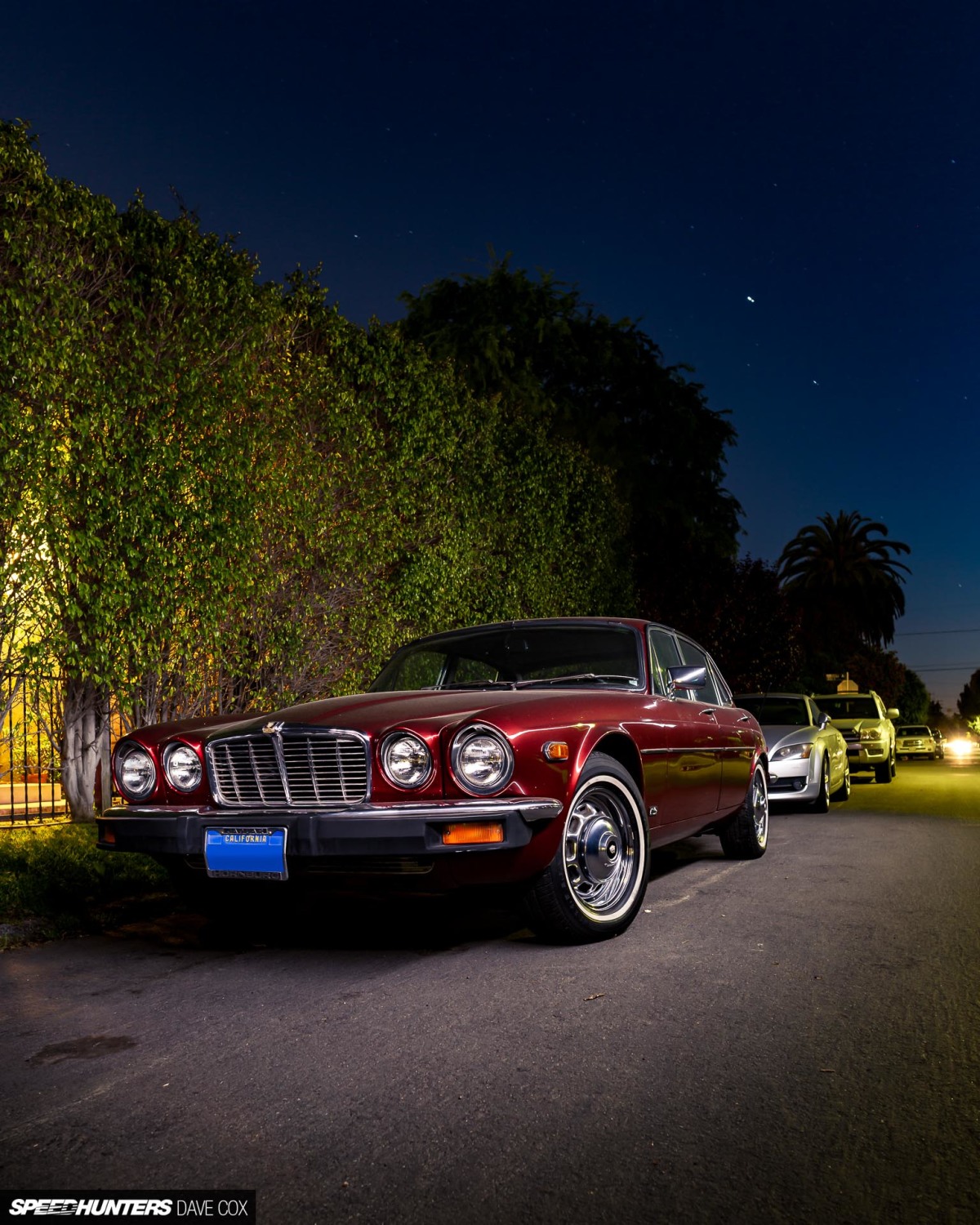 CARONAVIRUS Â©DAVE COX_006