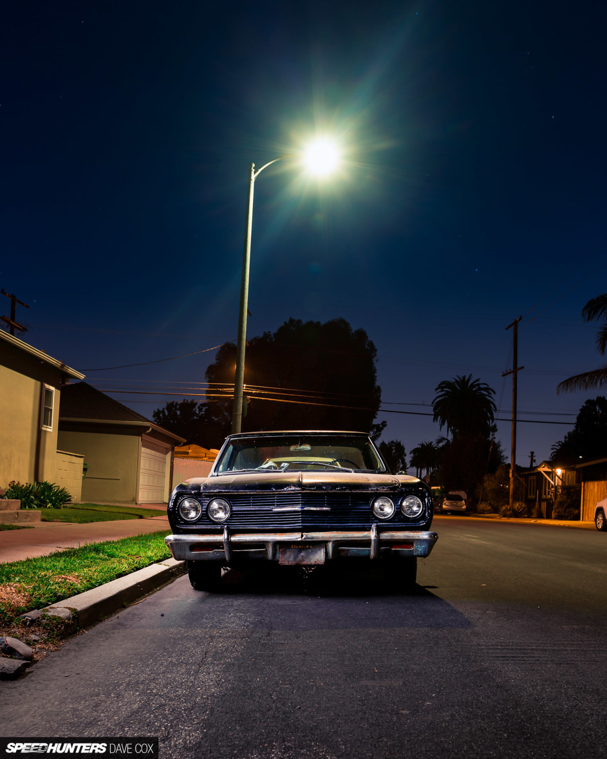 CARONAVIRUS Â©DAVE COX_007