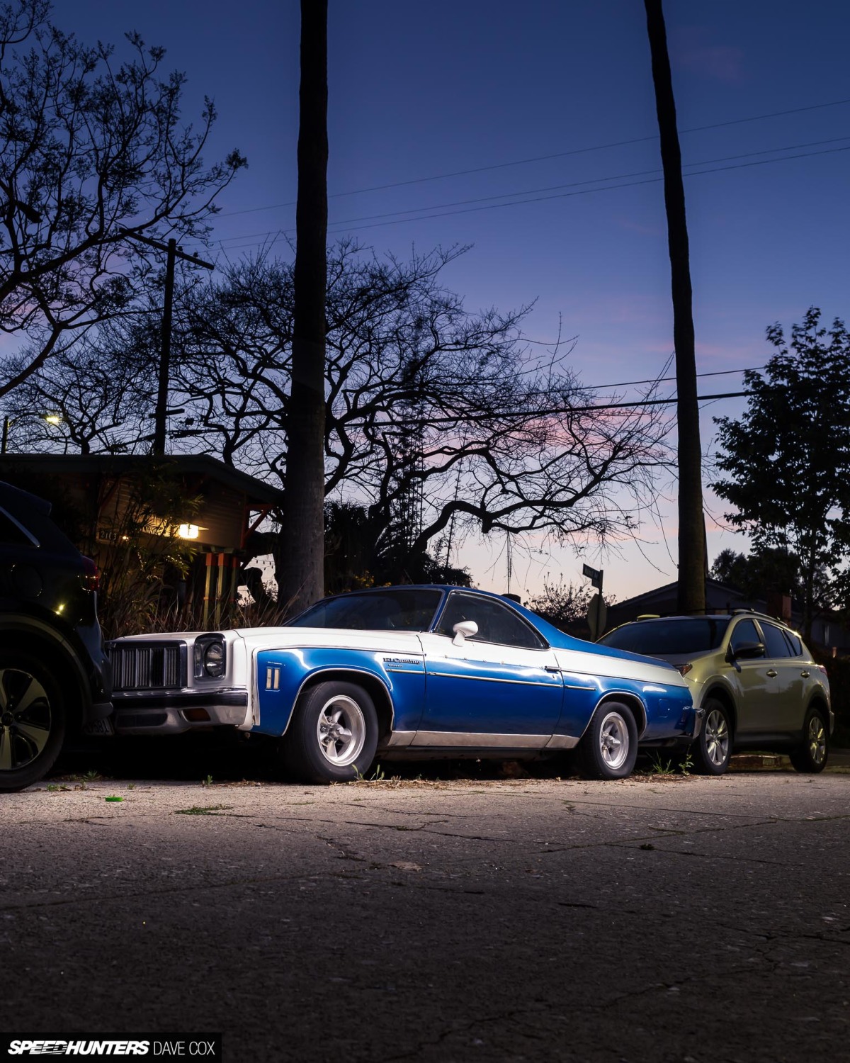 CARONAVIRUS Â©DAVE COX_009