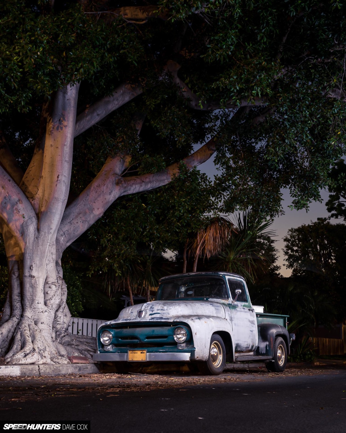 CARONAVIRUS Â©DAVE COX_011