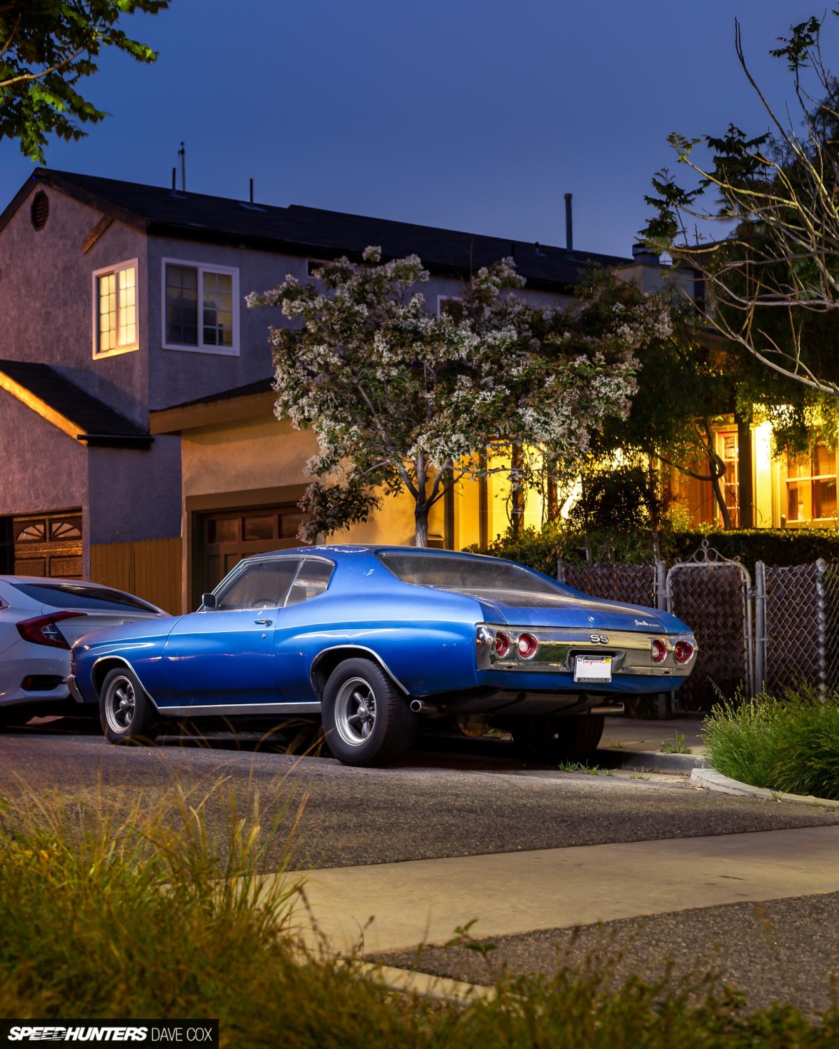 CARONAVIRUS Â©DAVE COX_013