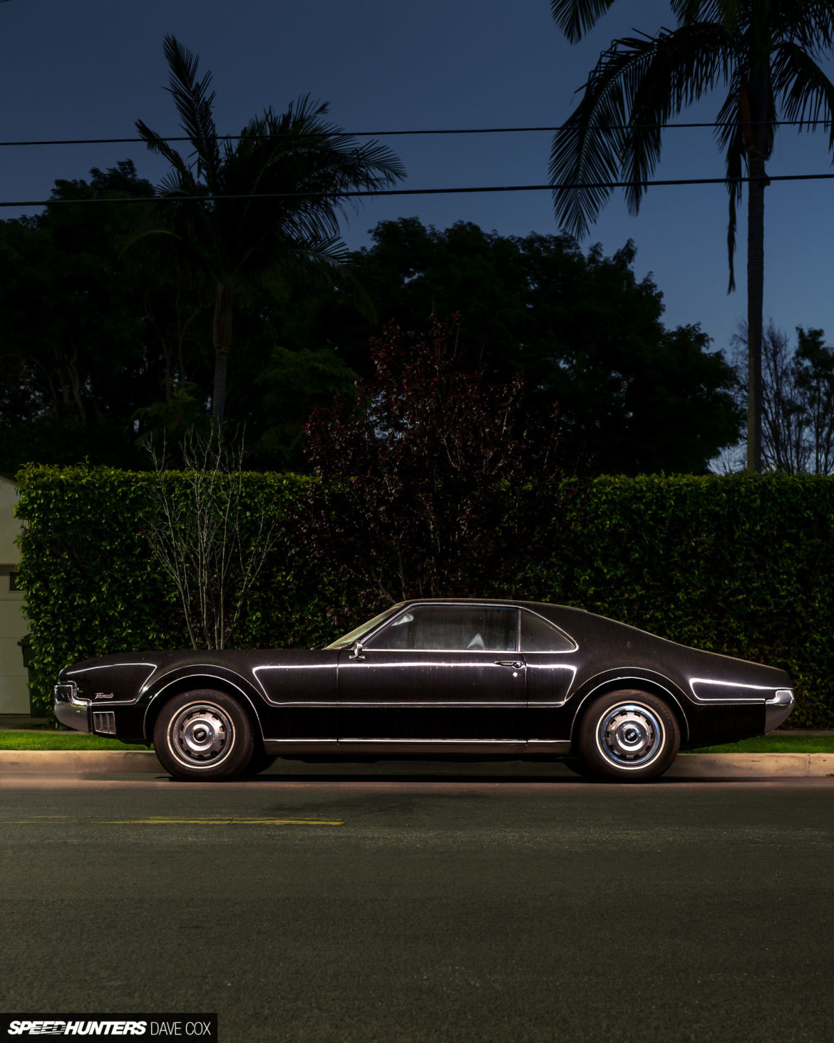 CARONAVIRUS Â©DAVE COX_015