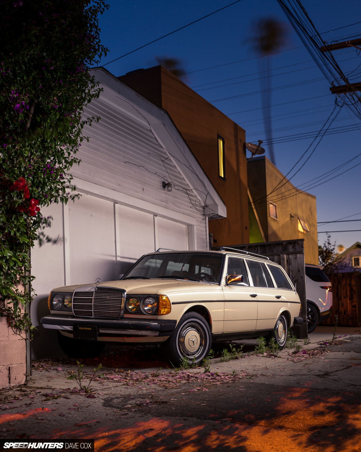 CARONAVIRUS Â©DAVE COX_018