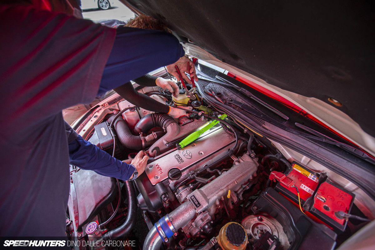 tomocheka_dino_dalle_carbonare_28