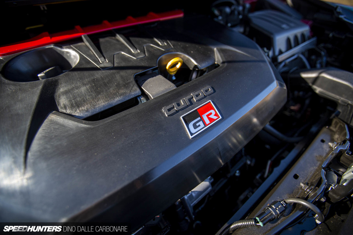 gryaris_dino_dalle_carbonare_09