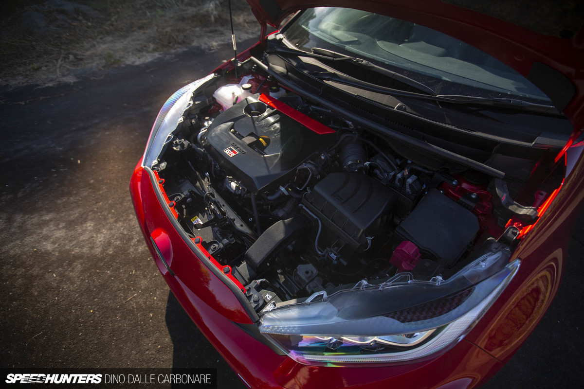 gryaris_dino_dalle_carbonare_10