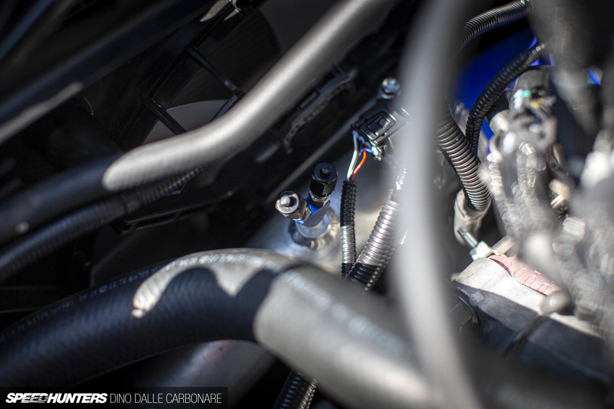 hks_gryaris_dino_dalle_carbonare_18