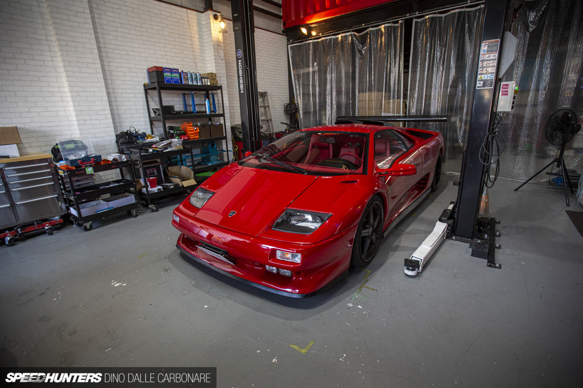 maaya_orido_chat_dino_dalle_carbonare_02