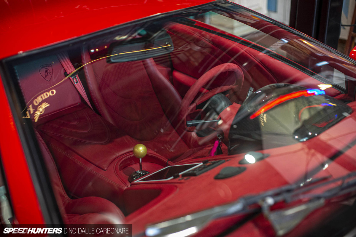 maaya_orido_chat_dino_dalle_carbonare_24