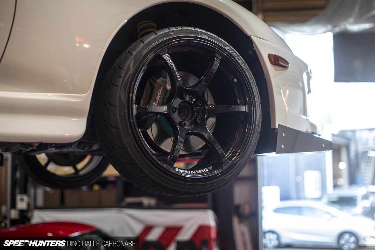 maaya_orido_chat_dino_dalle_carbonare_25