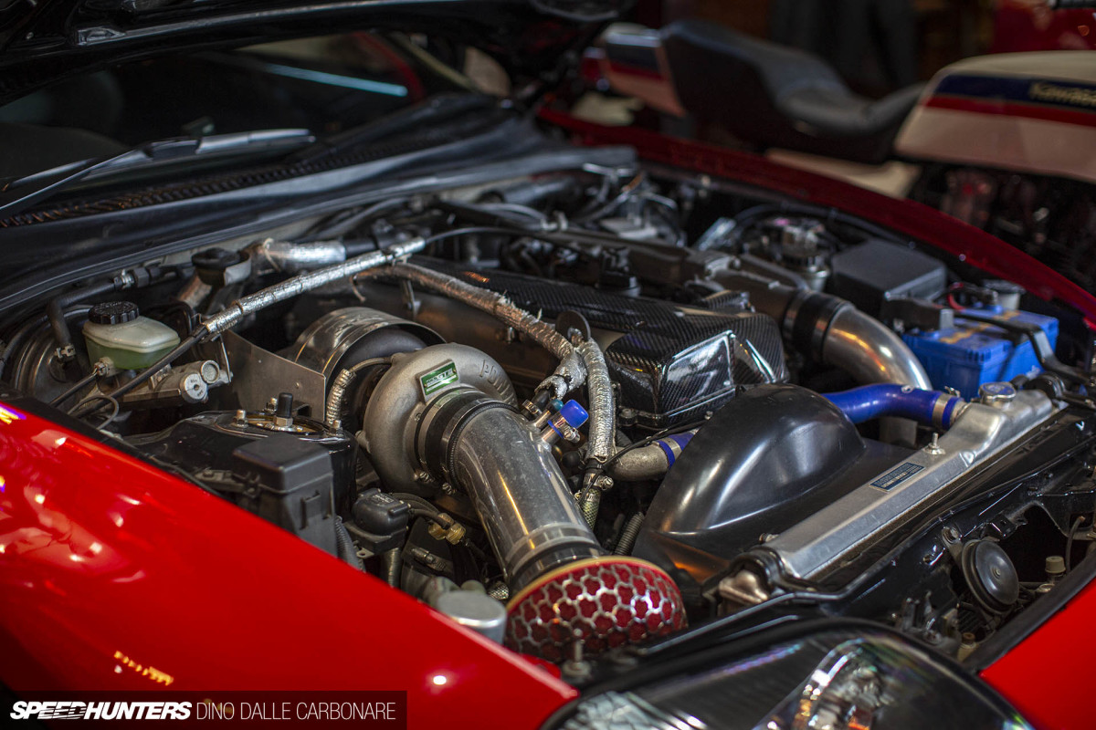 maaya_orido_chat_dino_dalle_carbonare_30