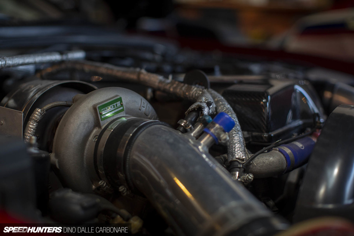 maaya_orido_chat_dino_dalle_carbonare_31