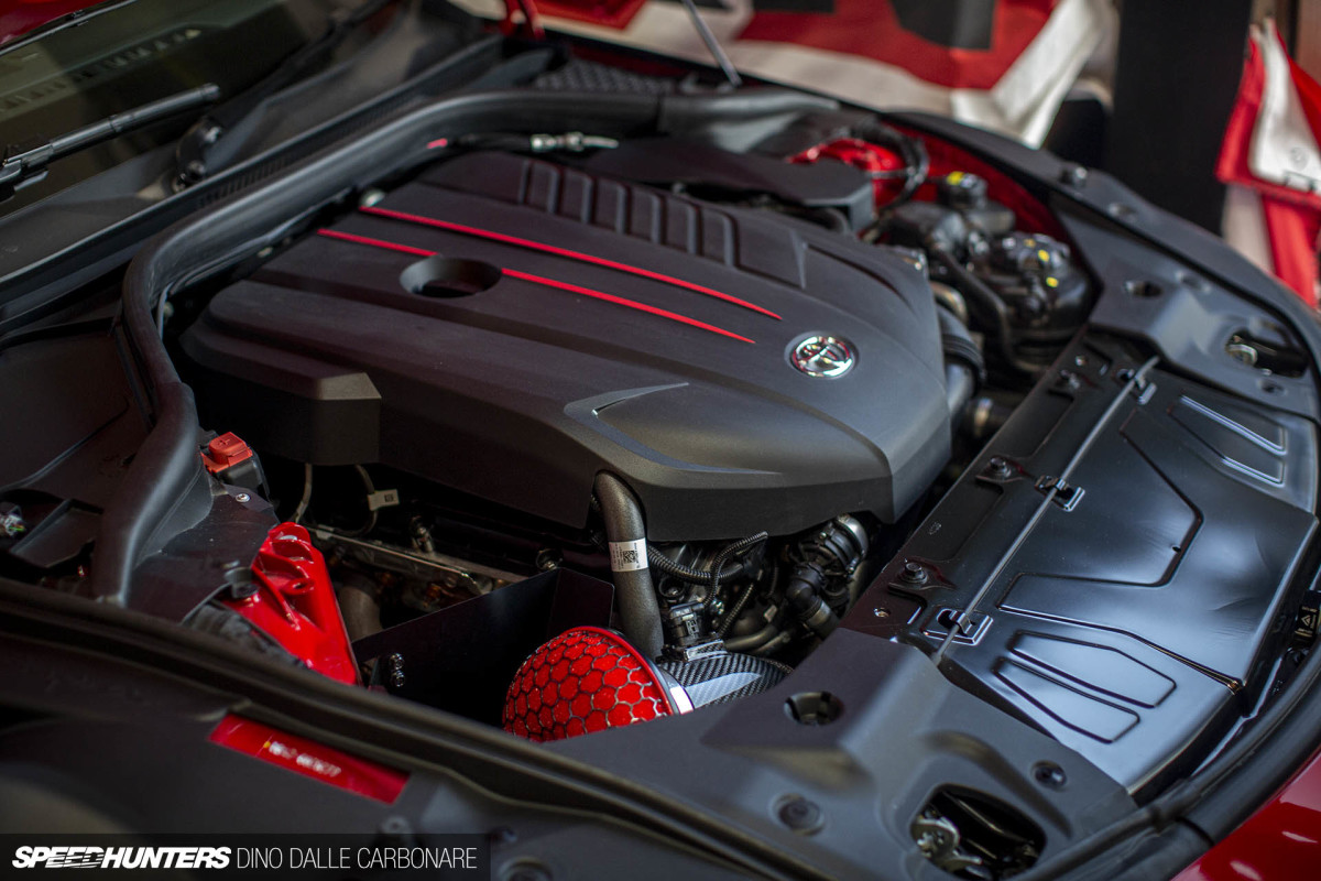 maaya_orido_chat_dino_dalle_carbonare_32