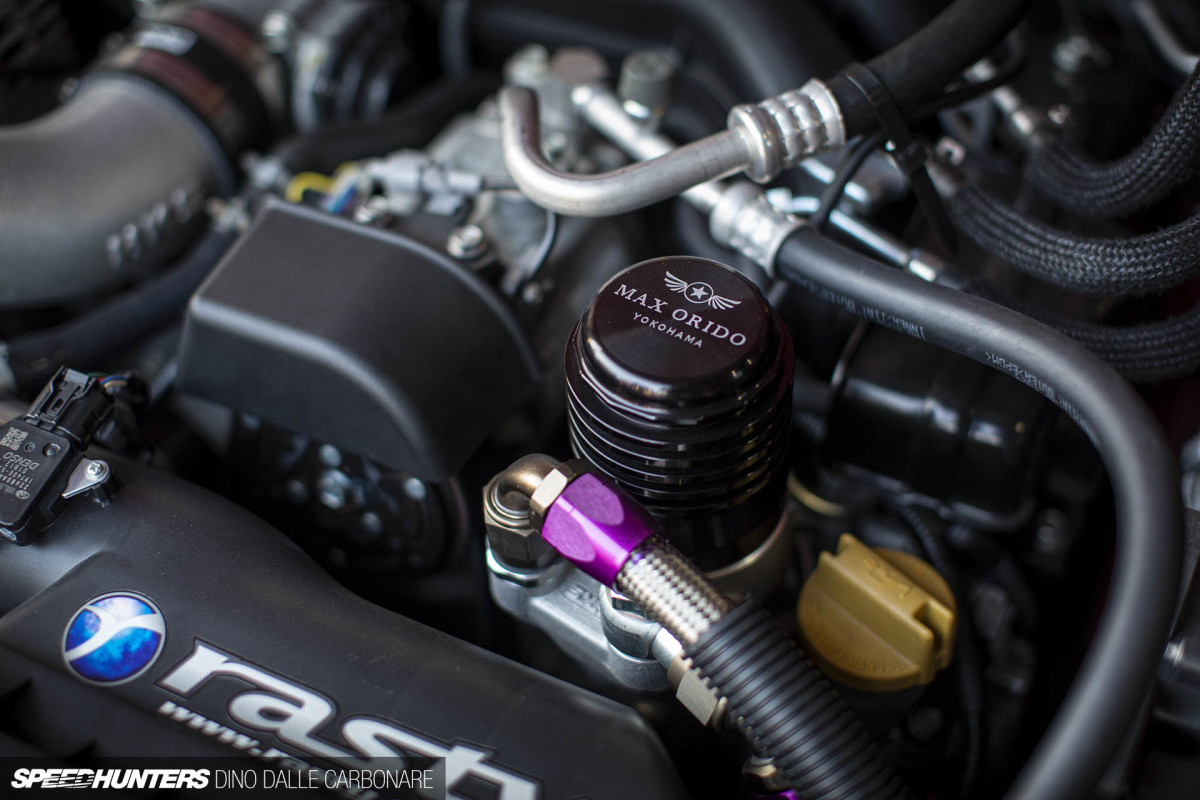 maaya_orido_chat_dino_dalle_carbonare_36