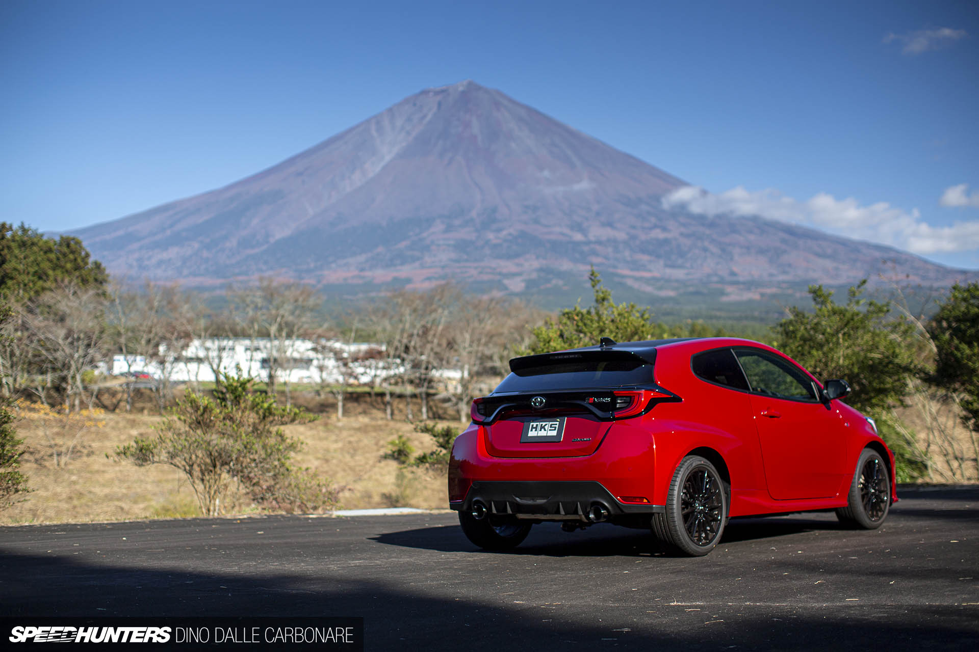 gryaris_dino_dalle_carbonare_01