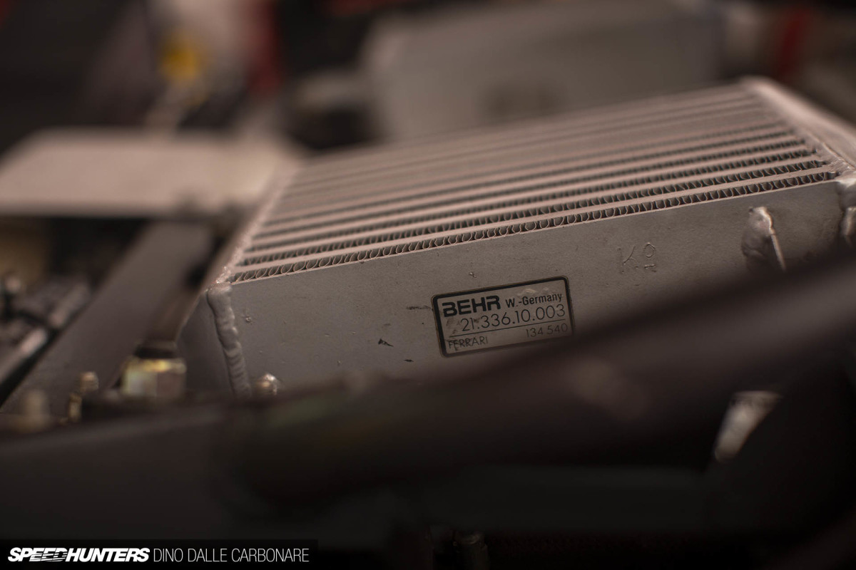 saitama_collection_dino_dalle_carbonare_52