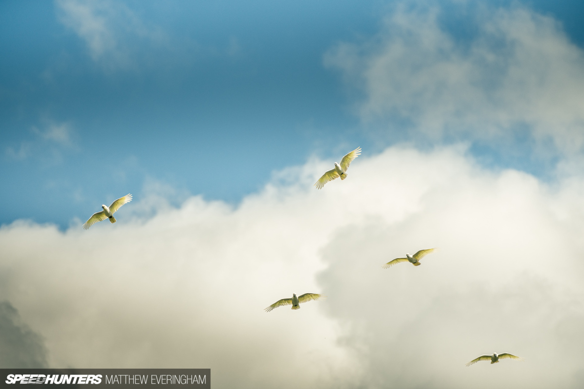 Rusty-old-datsuns-everingham-speedhunters-136