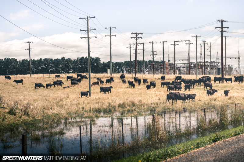 Rusty-old-datsuns-everingham-speedhunters-237