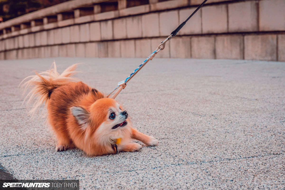 Toby_Thyer_Photographer_Speedhunters-50