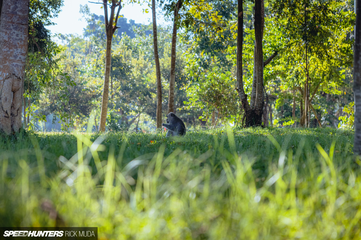 Speedhunters_ARD_9816