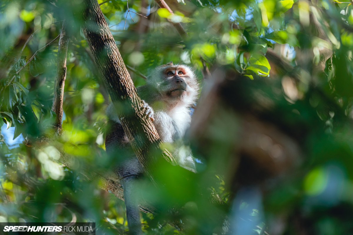 Speedhunters_ARD_9832