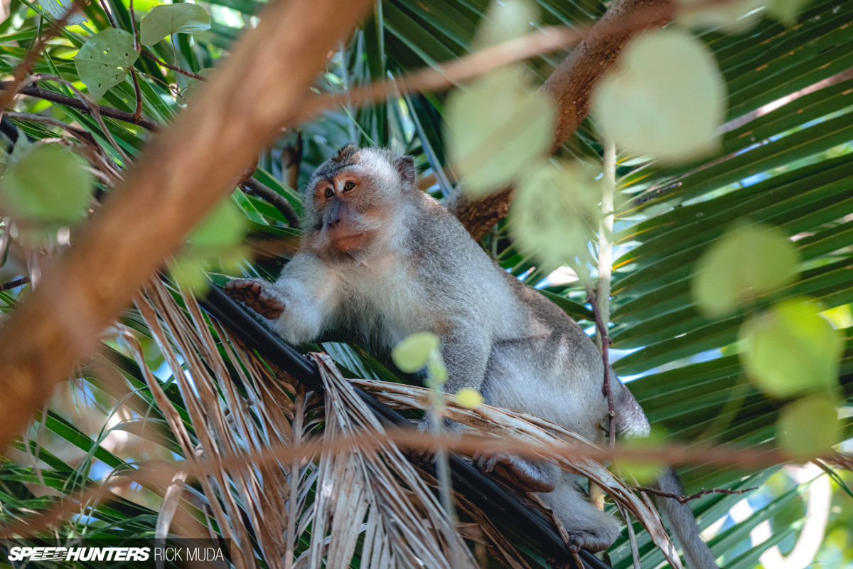 Speedhunters_ARD_9839