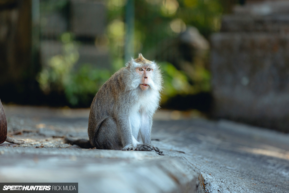 Speedhunters_ARD_9857