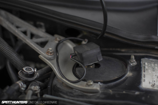 tex_modify_gdb_dino_dalle_carbonare_09