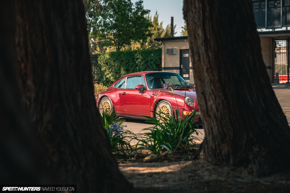 IMG_5918Copyrighted-By-Naveed-Yousufzai