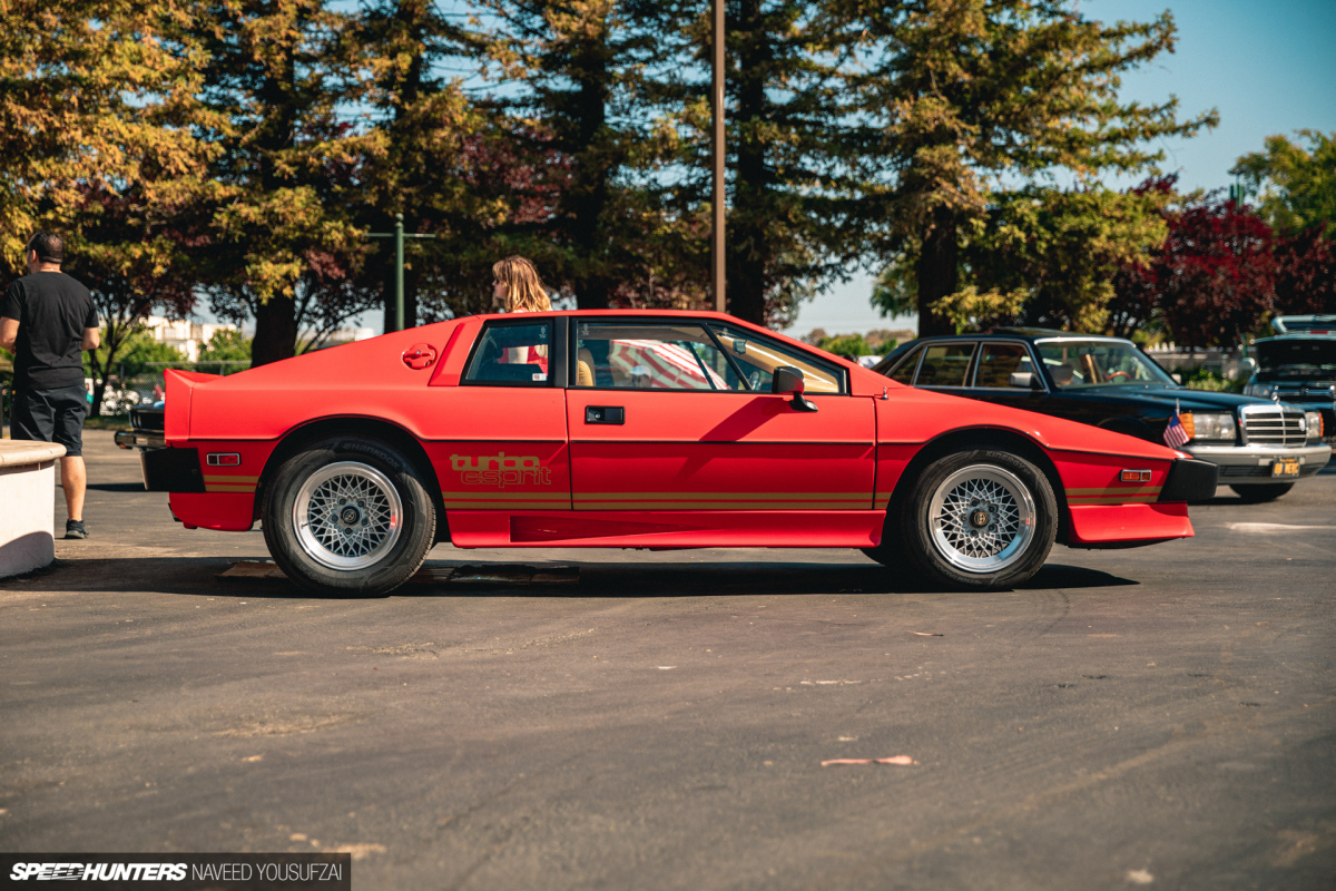 IMG_5935Copyrighted-By-Naveed-Yousufzai