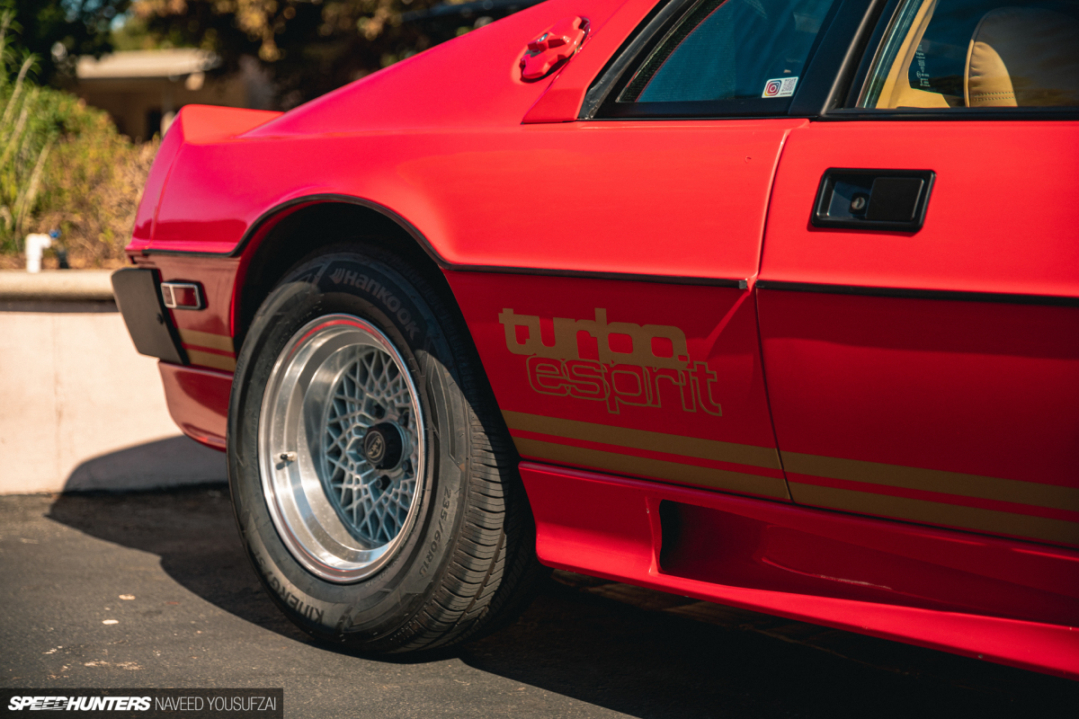 IMG_5939Copyrighted-By-Naveed-Yousufzai