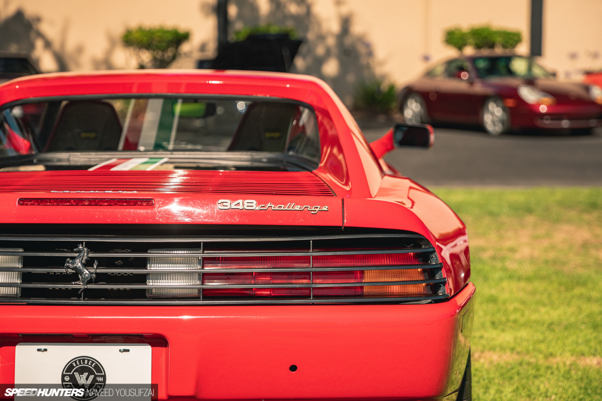 IMG_6034Copyrighted-By-Naveed-Yousufzai