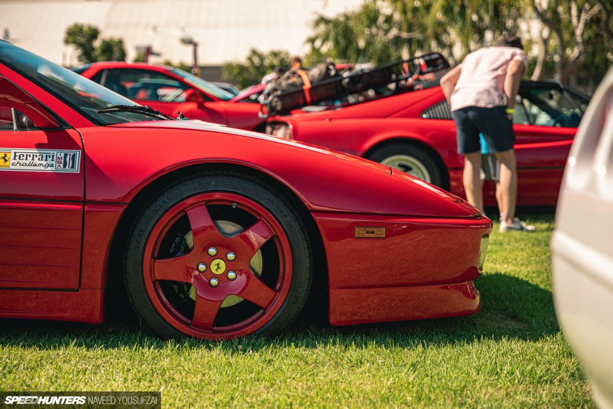 IMG_6042Copyrighted-By-Naveed-Yousufzai